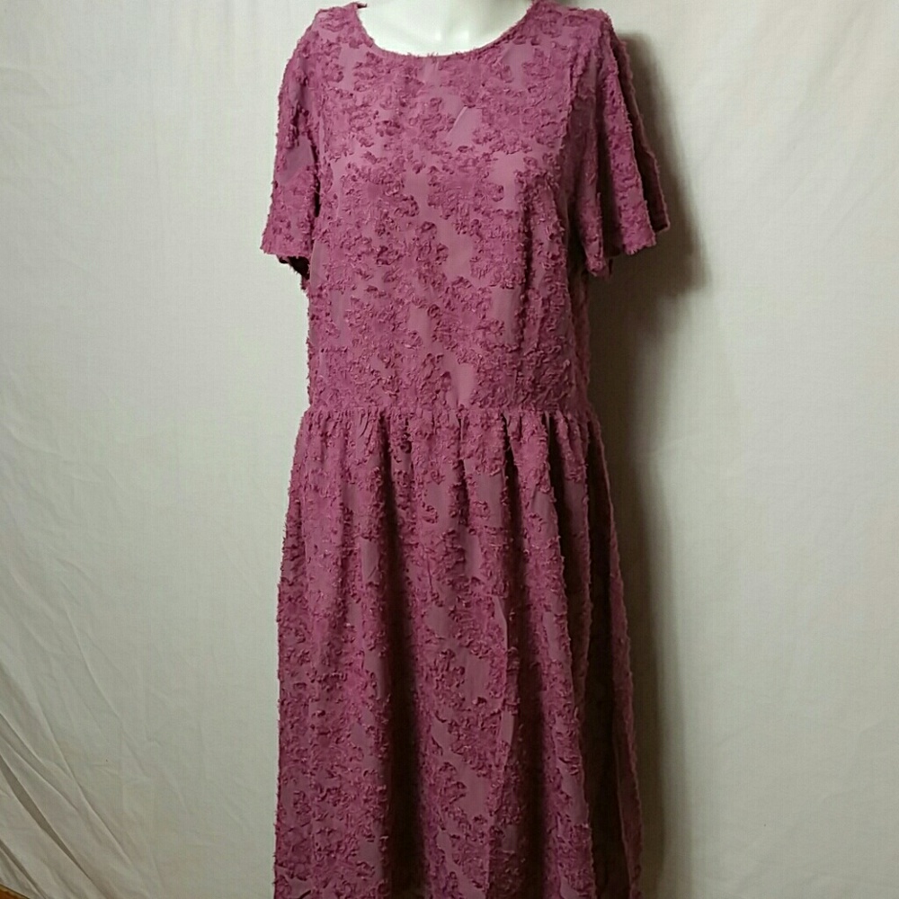 Junie Blake Women new Medium Empire waist Dress